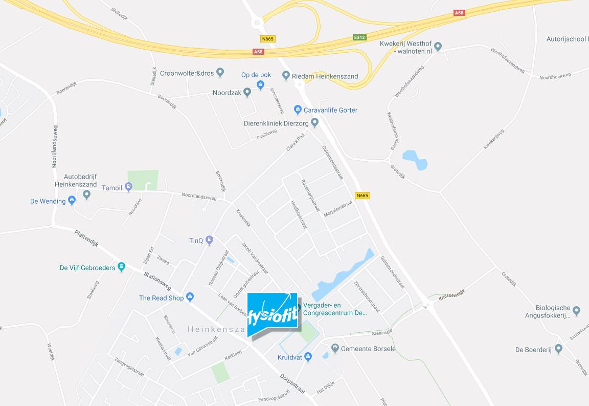 Afbeelding Google Maps met locatie Fysiofit Heinkenszand